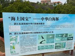 -霞山观海长廊