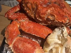 -萤初高端日料王(曲江银泰店)