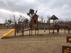 -上海长兴岛郊野公园