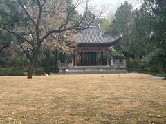 -汇龙潭