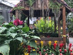 -北京植物园-展览温室