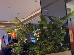 -辛香汇·现炒川菜(城北万象城店)