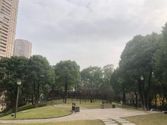 -重庆市江北嘴中央商务区中央公园