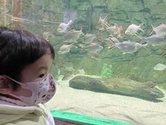 -常州海昌海洋探索馆