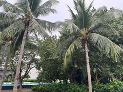 -三亚太阳湾柏悦酒店