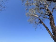 -汉长安城未央宫国家考古遗址公园