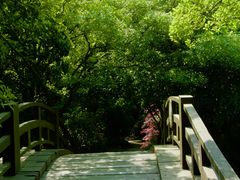 -桃花岛景观公园
