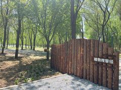 -老君堂公园