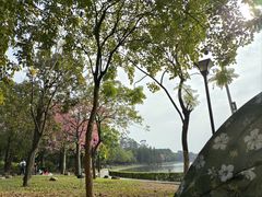 -南国桃园旅游度假区