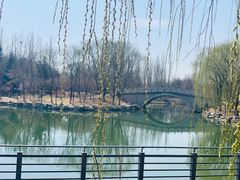 -大兴滨河森林公园