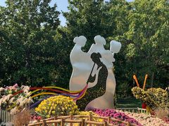 -上海共青森林公园