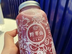 -野萃山·潮汕厚果汁(十亩地店)