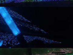 -杭州奥体中心-体育场