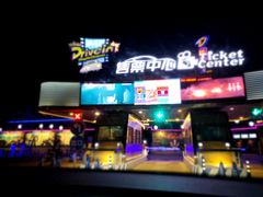 -枫花园汽车电影院(朝阳公园店)
