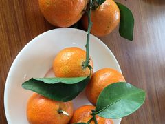 -那琴半岛地质海洋公园