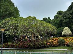 -天河儿童公园