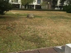 -大埔公路-马料水段香港中文大学(公交站)