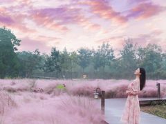 -南京市无想山景区