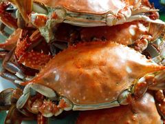 -胖大嫂渔家排档·全海景餐厅(渔村店)