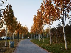 -瀛海足球主题公园