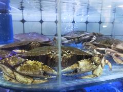 -日照大牌檔•小船海鲜(万平口店)