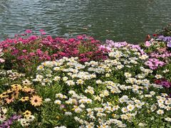 -苏州上方山国家森林公园