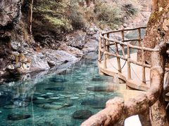 -石台牯牛降景区