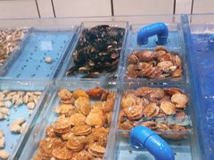-宝轩渔府·老字号海鲜·正宗津菜(水上店)