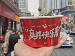 -黑色经典臭豆腐·湖南特产(坡子街店)