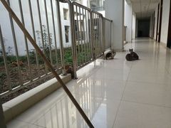 -丹东路渡口(轮渡站)