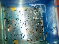 -汤乐汇•足道•SPA生活馆