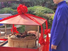 -田园印象·成都土菜院子(华阳店)