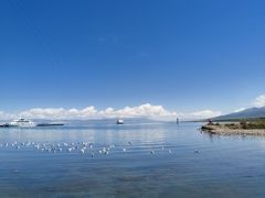 -青海湖国家重点风景名胜区