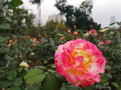 -人民公园(罗湖区)