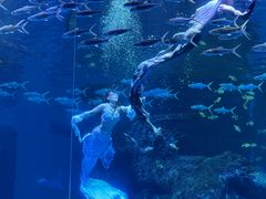 -波塞冬旅游度假区