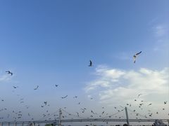 -星海广场