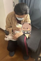 -盈月阁母婴护理中心·月子中心·月嫂育儿嫂