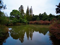 -上海滨江森林公园