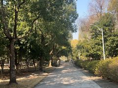 -浙江越秀外国语学院