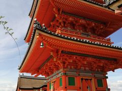 -有栖山 清光院 清水寺