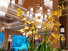 大堂-福楼法餐厅FLO