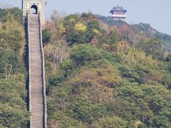 -黄贤森林公园