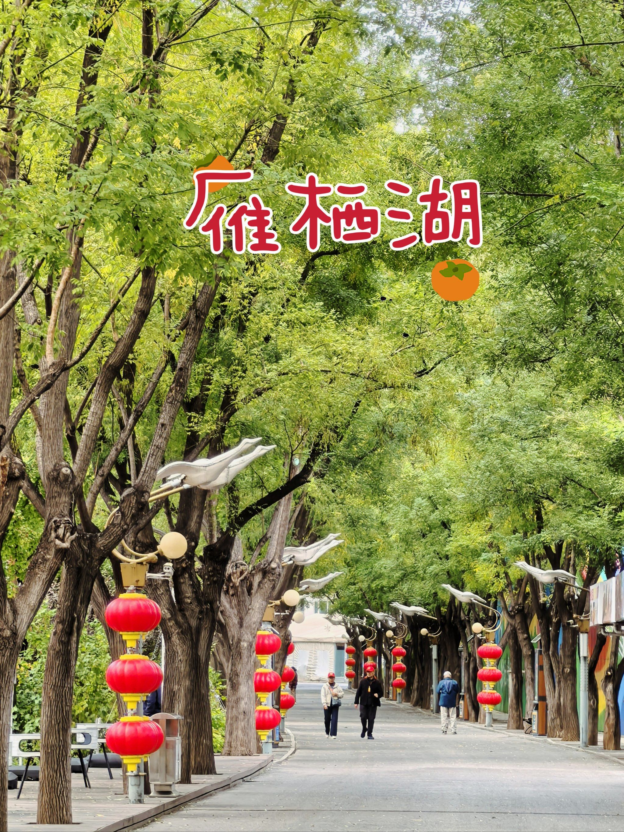 金秋雁栖湖如画美景