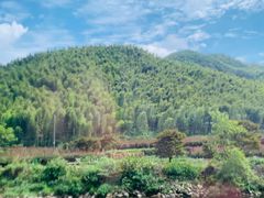 -鹿亭中村