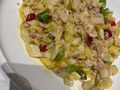 -阿露佳·安吉菜