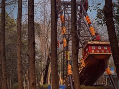 -上海滨江森林公园