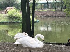 -沈阳森林动物园