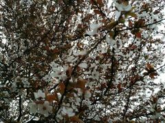 -昆山城市生态森林公园