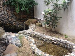 -茶米人台湾料理·精致快简餐