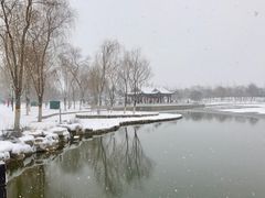 -西海子公园